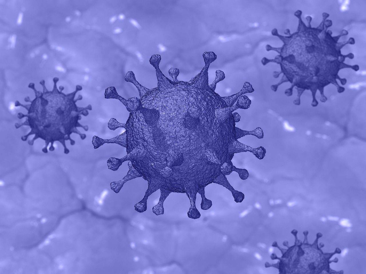 covid-19, virus, coronavirus-4922384.jpg