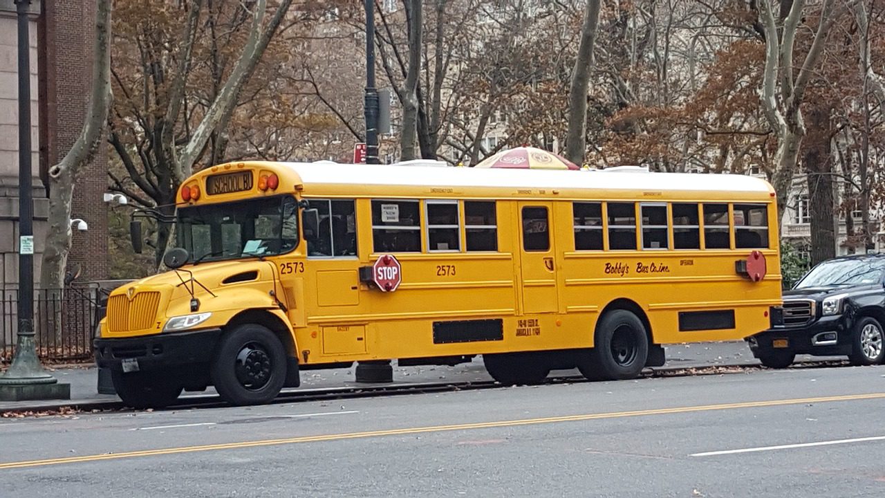 bus, new york city, school-3994719.jpg